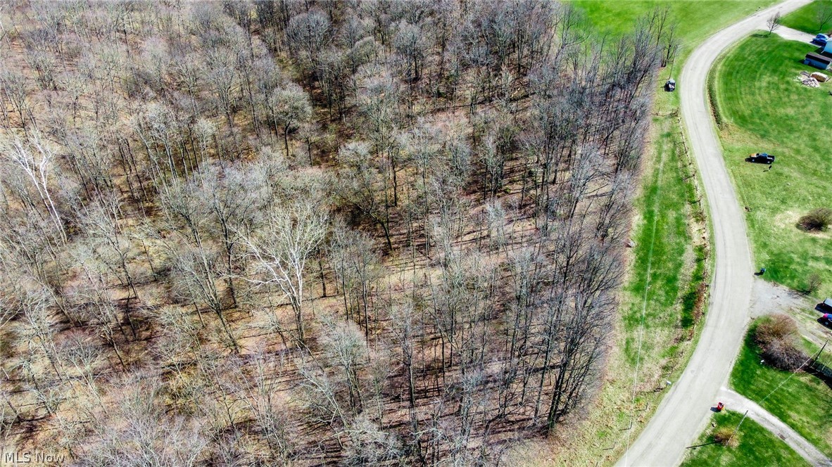 17805 Early Cemetary Road Kimbolton, OH 43749 - Photo 28 of 30 Drone / aerial view