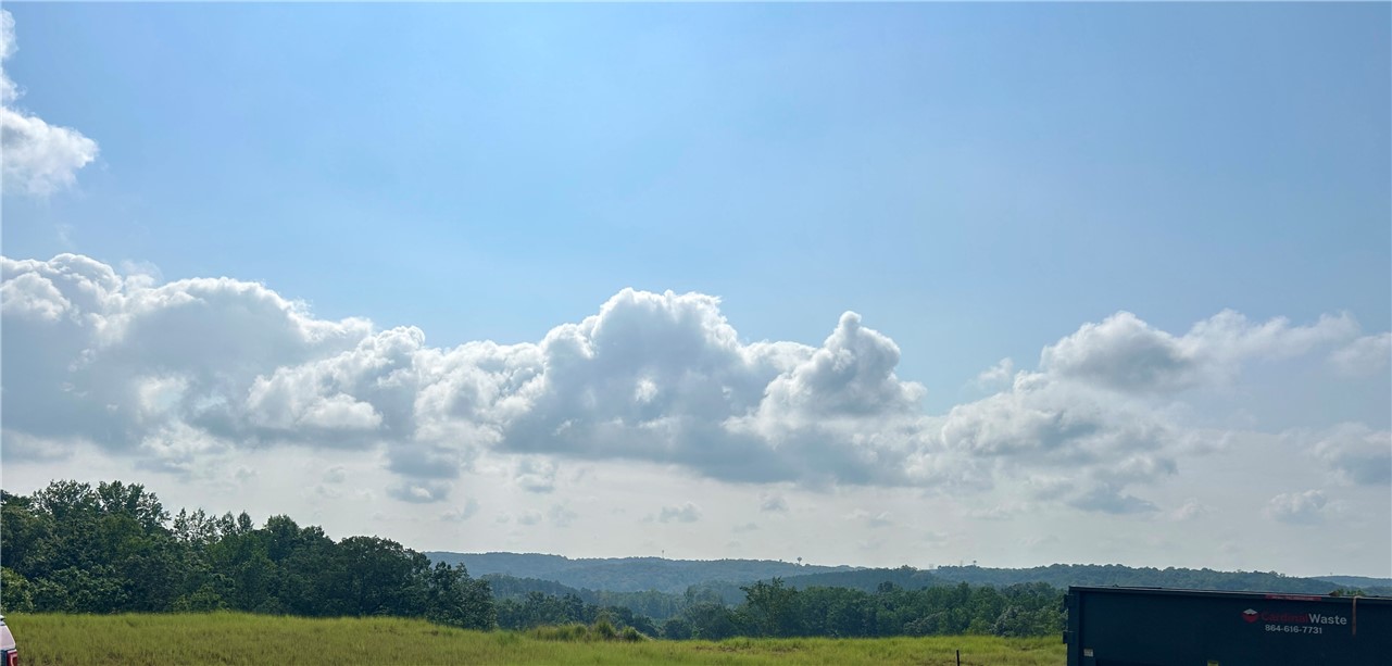 132 Shale Drive Central, SC 29630 - Photo 20 of 23 Back/side yard view