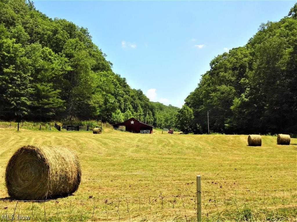 349 Maple Run Road Looneyville, WV 25259 - Photo 3 of 20 Gallery Image 3