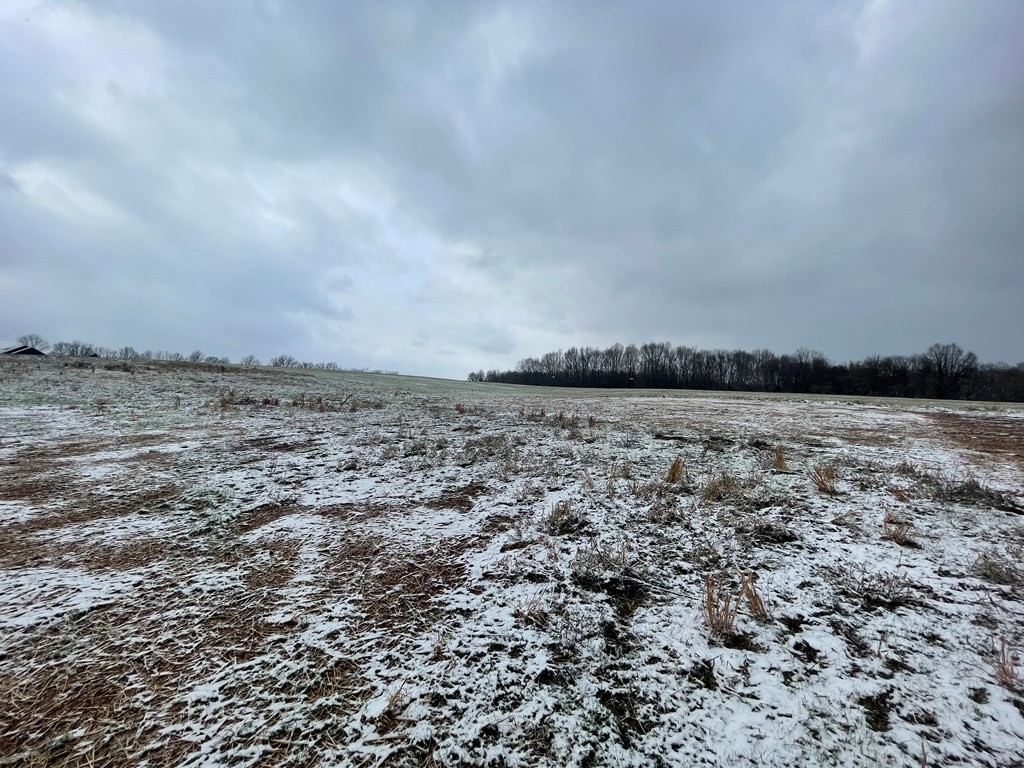 1002 Frank Anderson Road Sparta, TN 38583 - Photo 6 of 18 Gallery Image 6