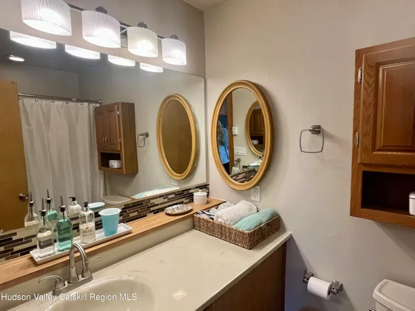 a bathroom with a shower and a toilet