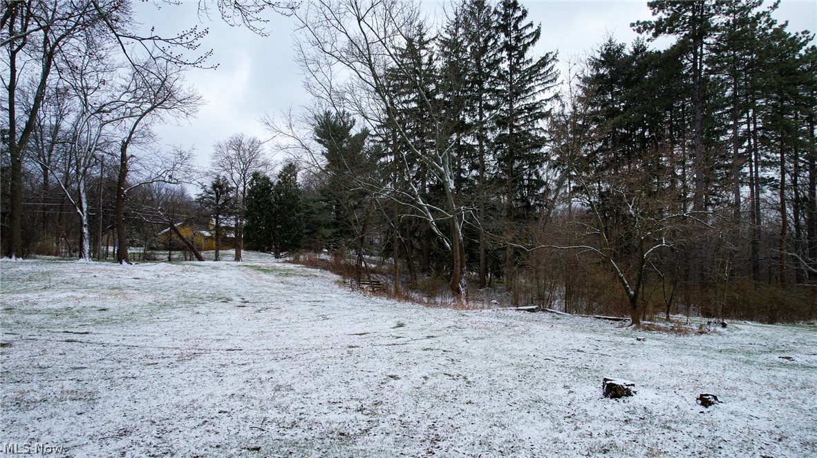 467 Center Road Hinckley, OH 44233 - Photo 4 of 20 View of snowy landscape