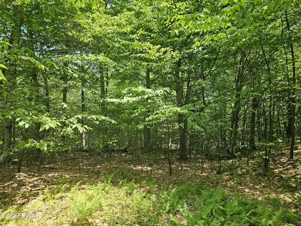 $167,000 | Lot 69 Stonegate Road, Equinunk, PA 18417