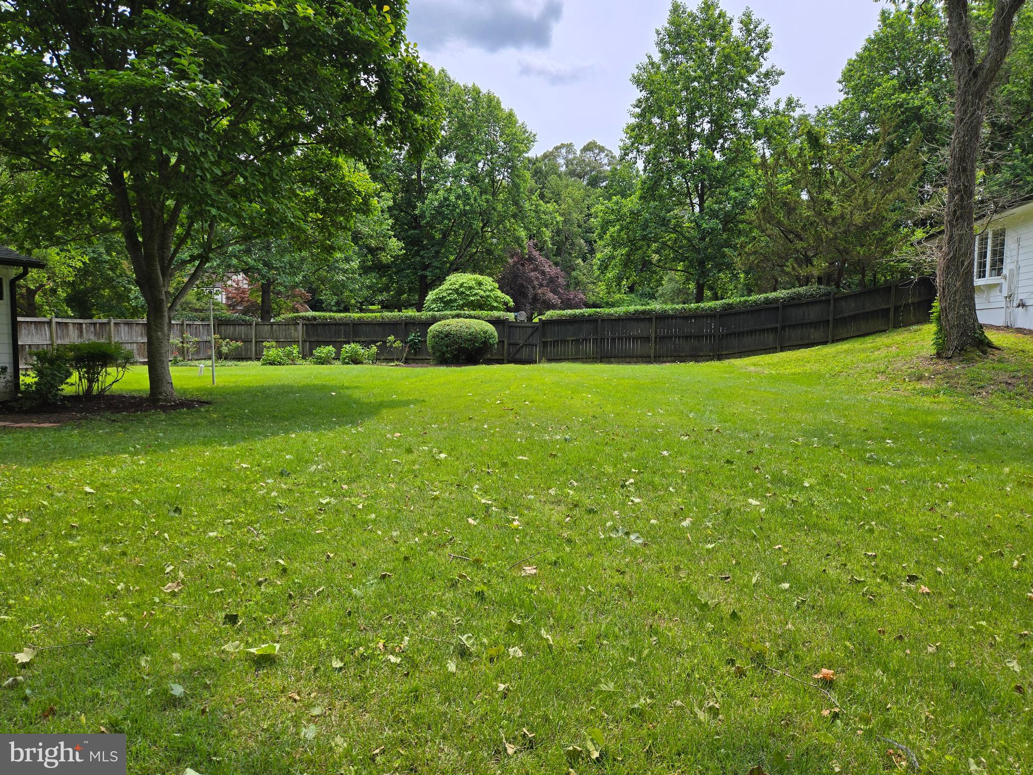 12004 Partello Road Bowie, MD 20720 - Photo 75 of 79 Yard View