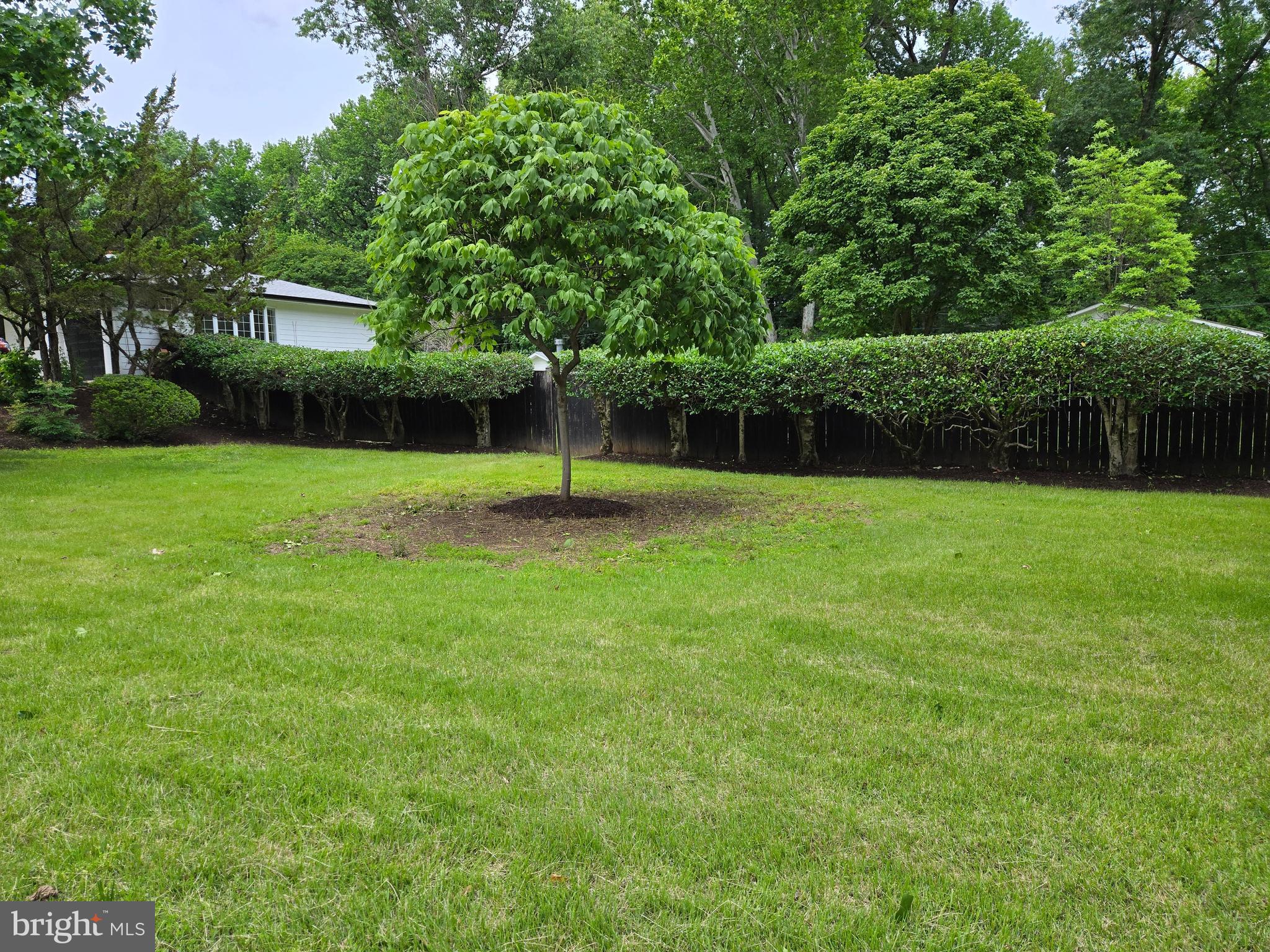 12004 Partello Road Bowie, MD 20720 - Photo 77 of 79 Yard View