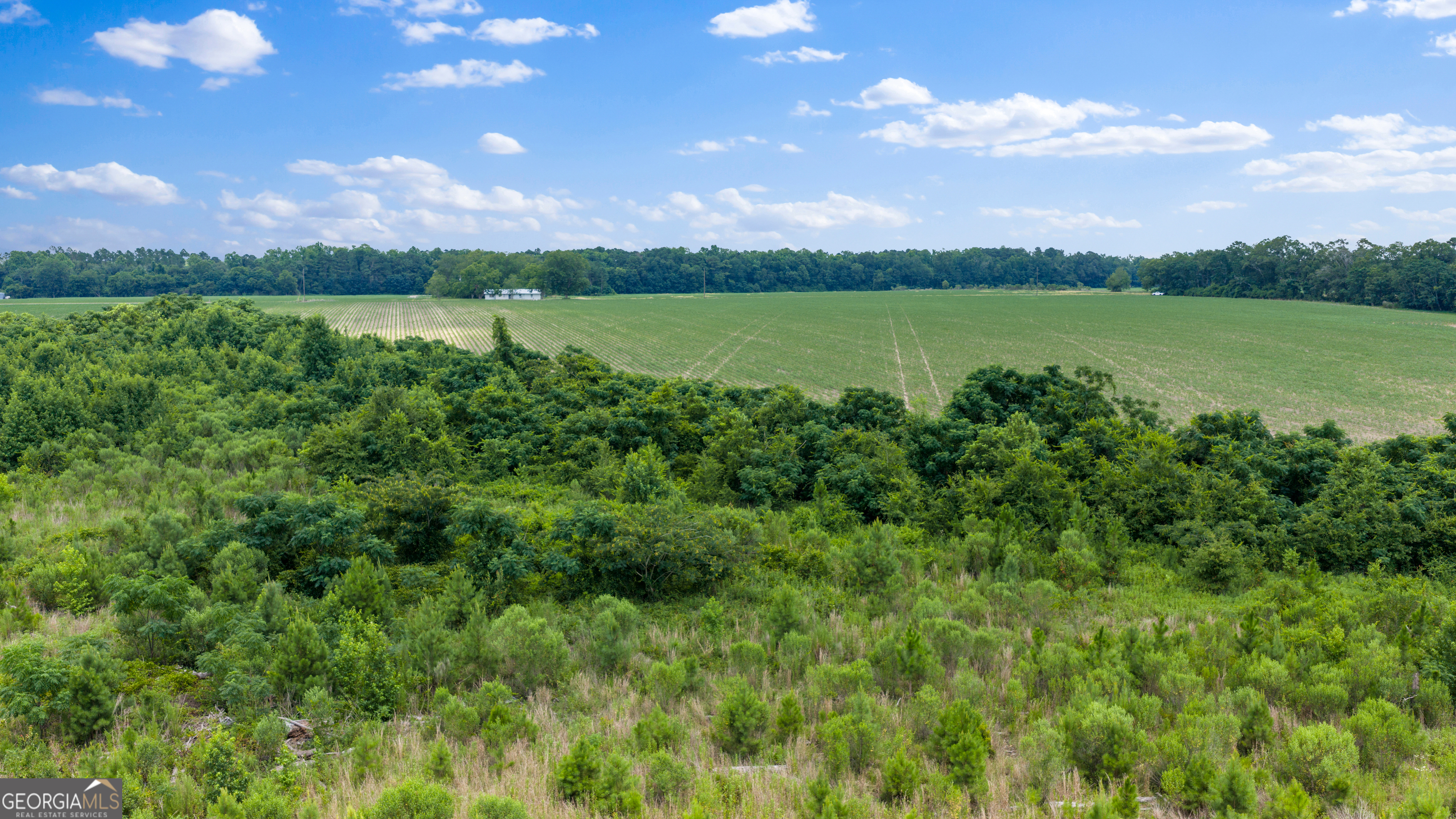 0 Wade Aycock Road Odum, GA 31555 - Photo 11 of 16