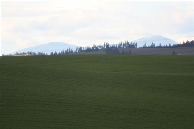14310 East Valley Chapel Road Fairfield, WA 99012 - Photo 9 of 9 Gallery Image 9