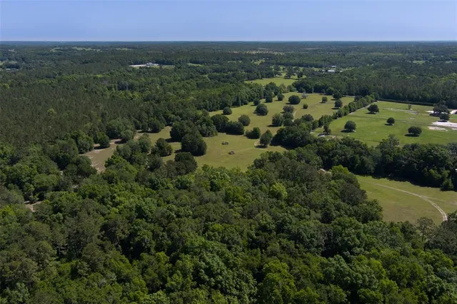 an aerial view of a residential houses with outdoor space and trees