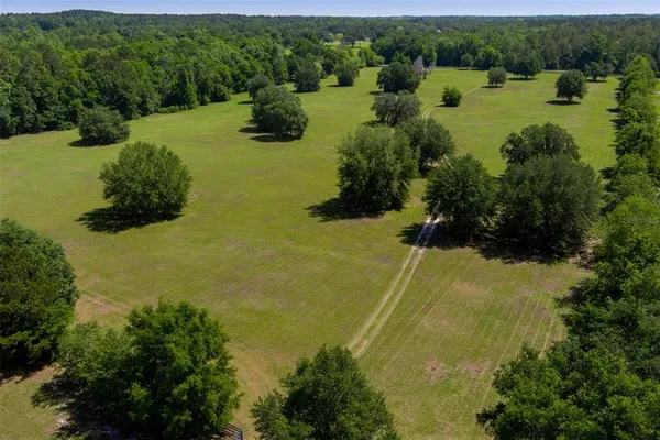 a view of a lake with a houses