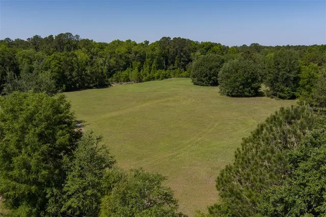 a view of a field with an ocean