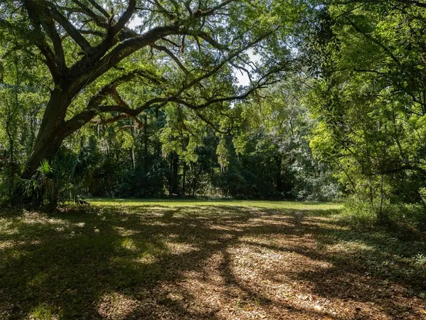 a view of outdoor space with deck and yard