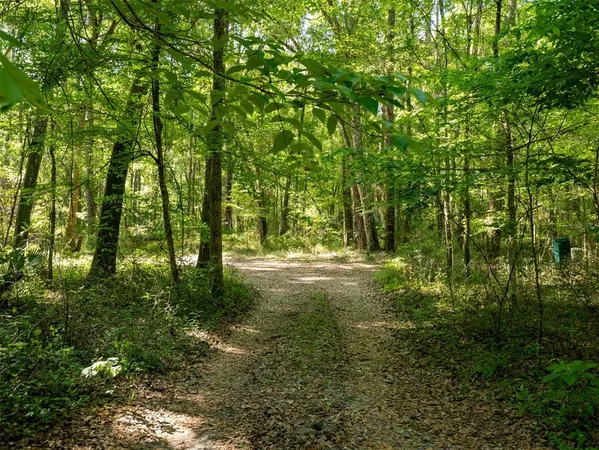 a view of outdoor space and a yard