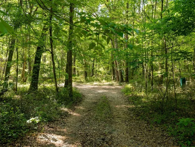 a view of outdoor space and a yard