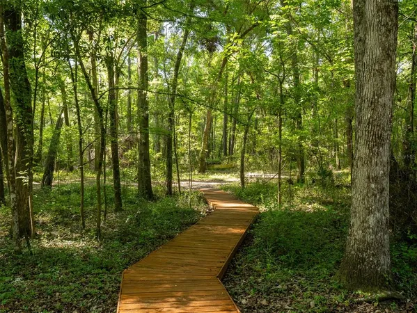 a view of yard with green space