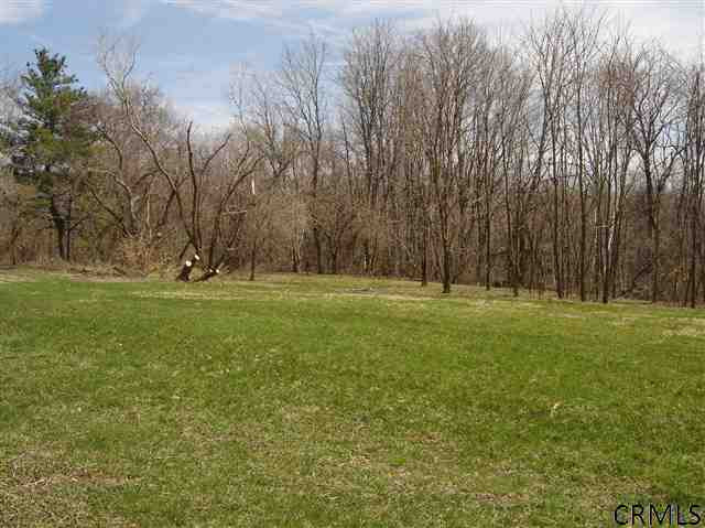 0 Ridge Road East Greenbush, NY 12061 - Photo 1 of 5 Photo 1