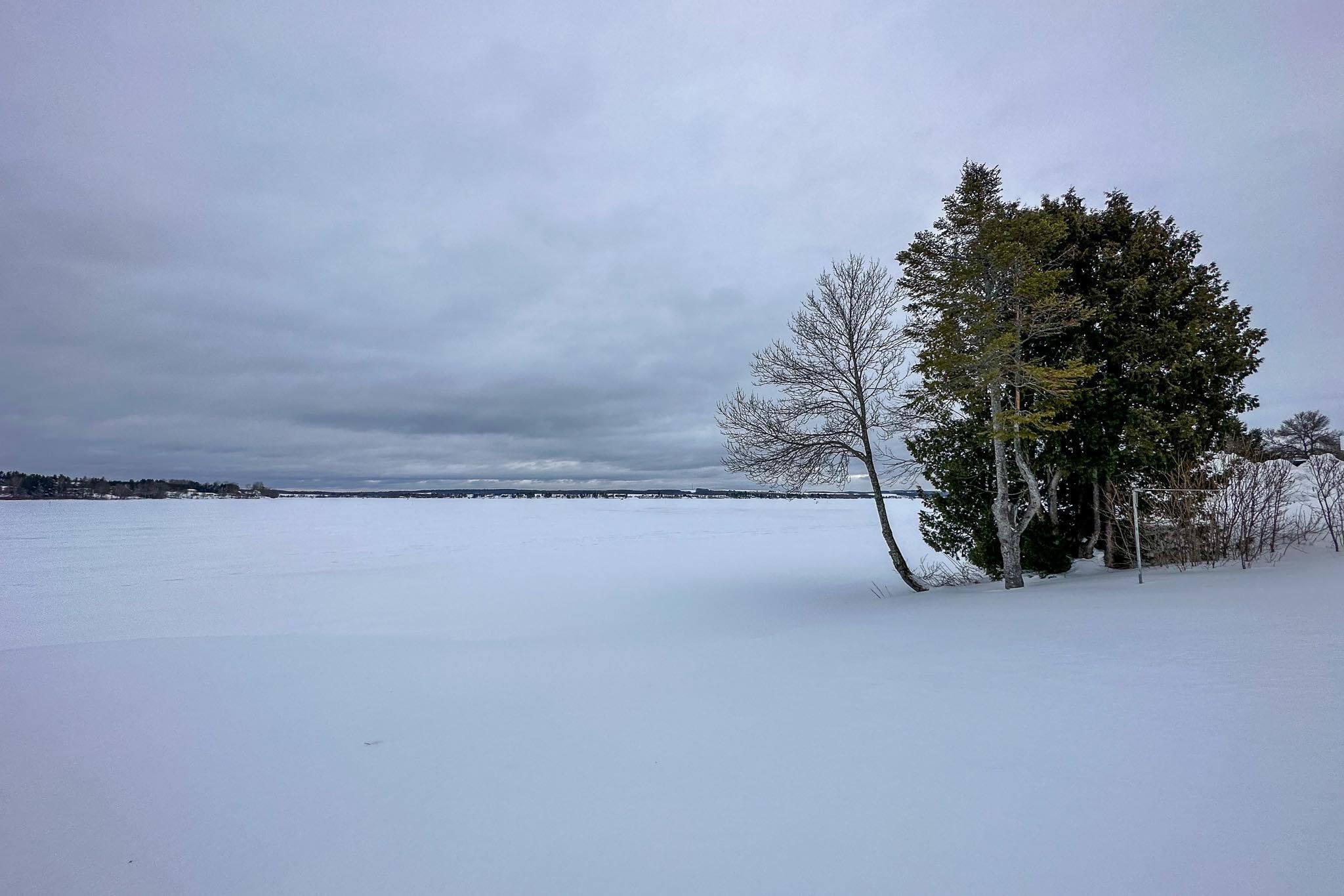 481 Main Street St. Agatha, ME 04772 - Photo 40 of 45 57