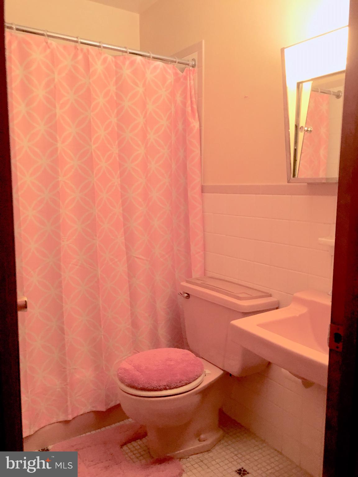 419 Baldy Road Kutztown, PA 19530 - Photo 17 of 27 Gallery Image 17