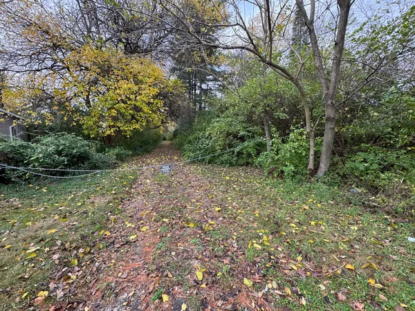 a big yard with lots of green space and deers