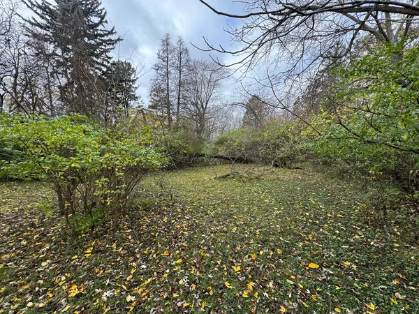 a view of a yard with a tree