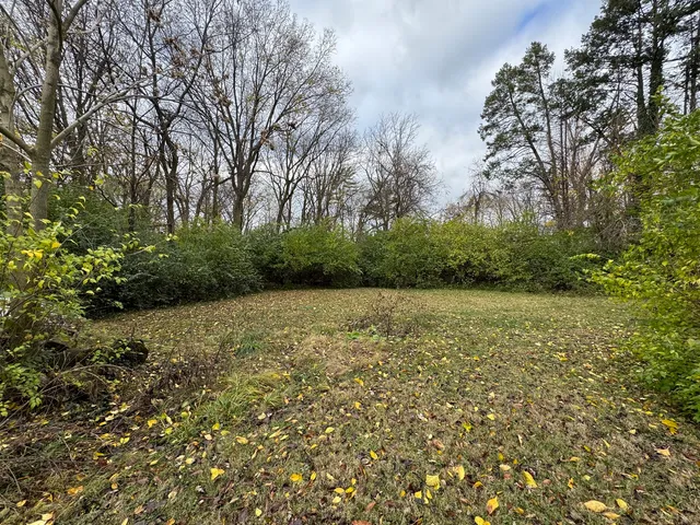 a view of a yard with a tree