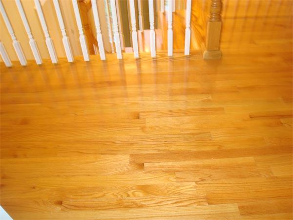 39 Old Farm Road Douglas, MA 01516 - Photo 17 of 23 Gallery Image 17