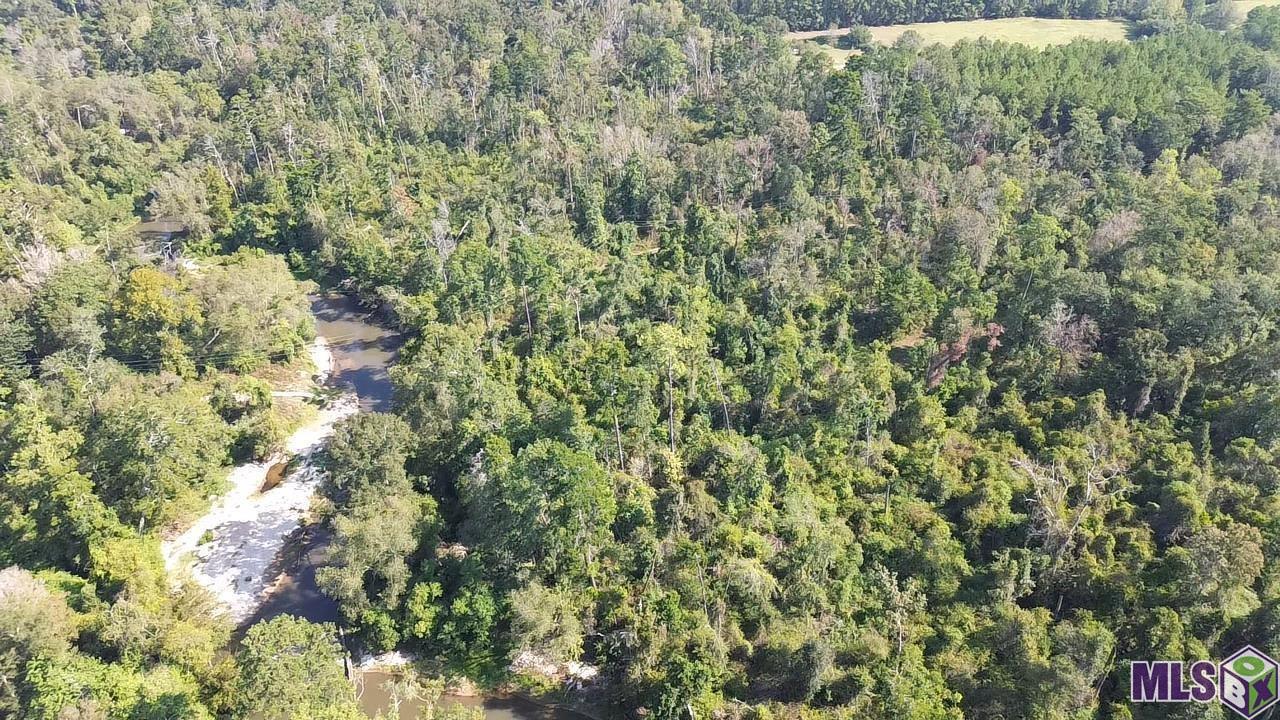 43 Independence La Independence, LA 70443 - Photo 11 of 15