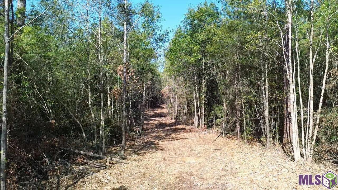 43 Independence La Independence, LA 70443 - Photo 12 of 15