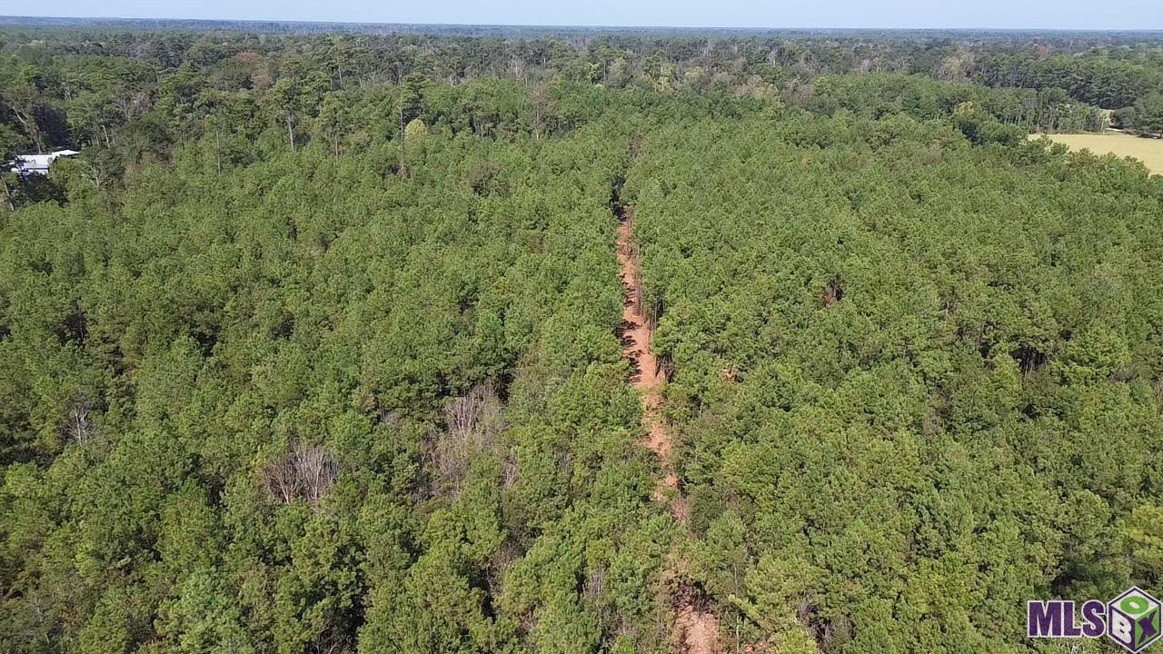 43 Independence La Independence, LA 70443 - Photo 2 of 15