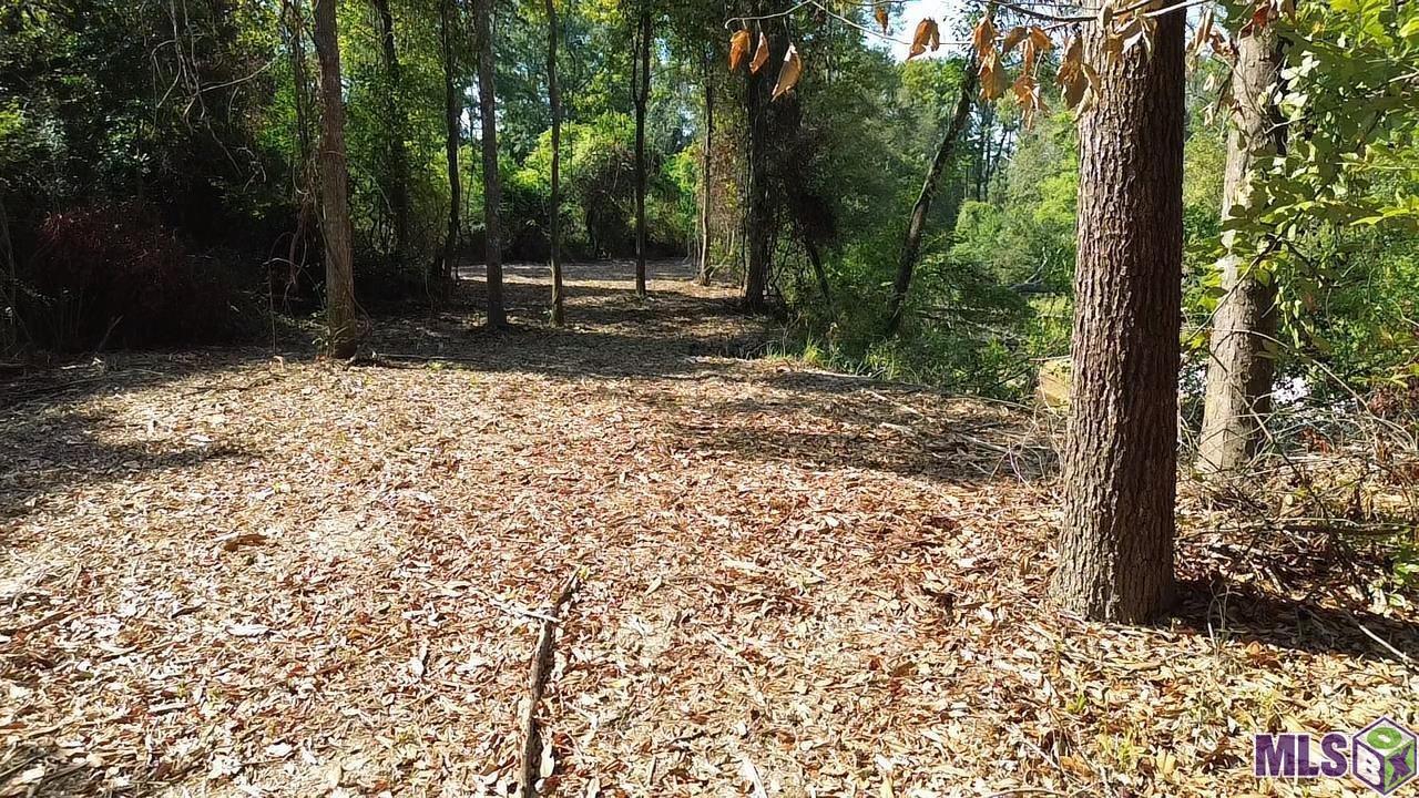 43 Independence La Independence, LA 70443 - Photo 3 of 15