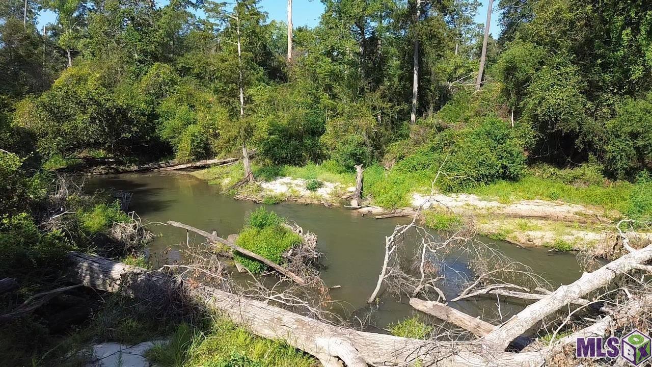 43 Independence La Independence, LA 70443 - Photo 4 of 15