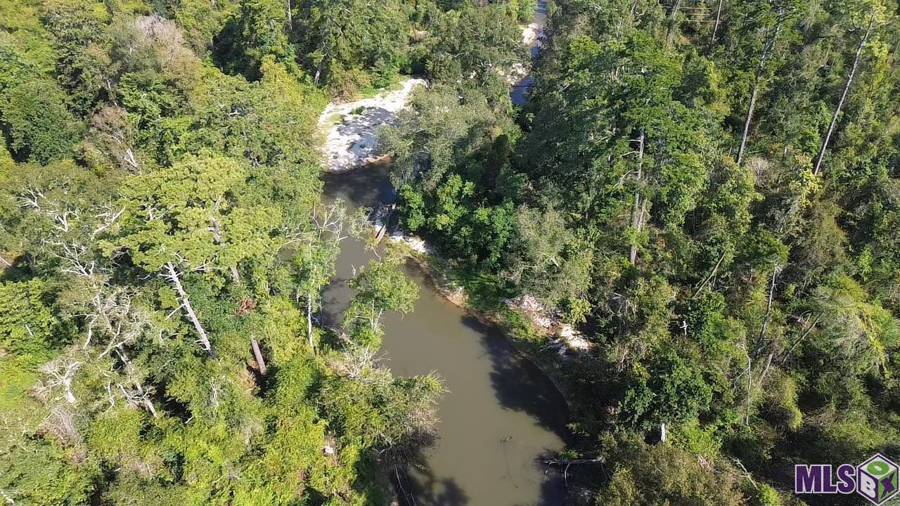 43 Independence La Independence, LA 70443 - Photo 7 of 15