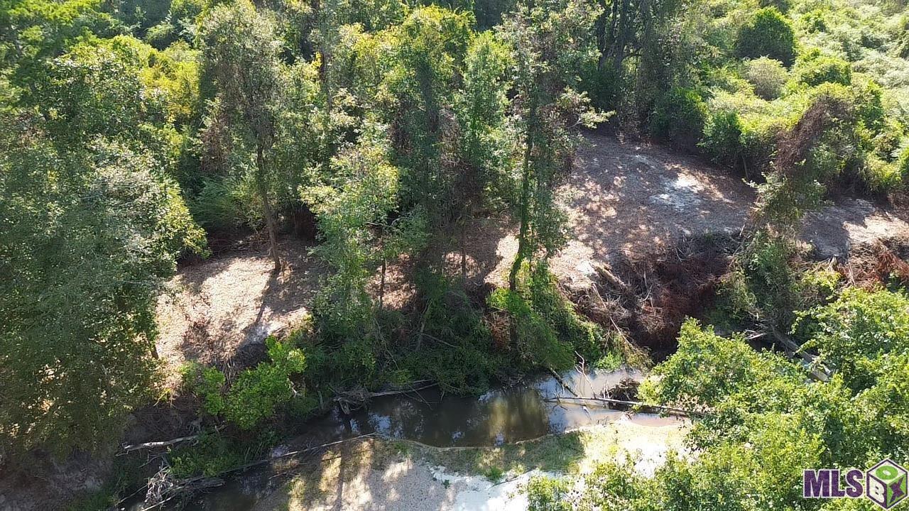 43 Independence La Independence, LA 70443 - Photo 9 of 15