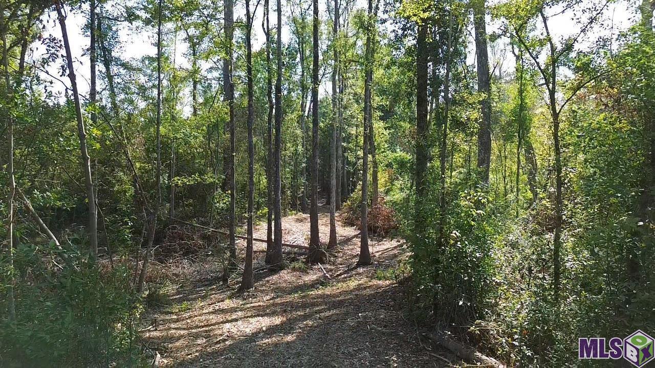 43 Independence La Independence, LA 70443 - Photo 10 of 15