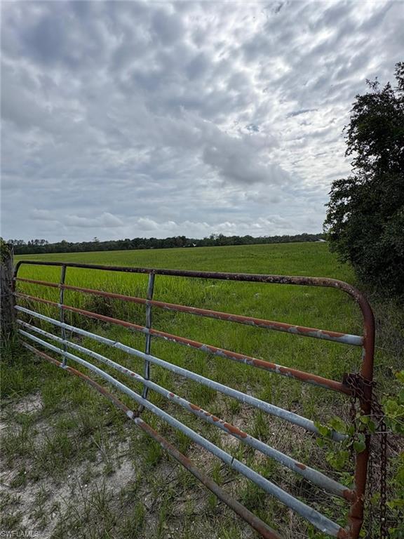 18139 Benes Roush Road Brooksville, FL 34604 - Photo 8 of 9