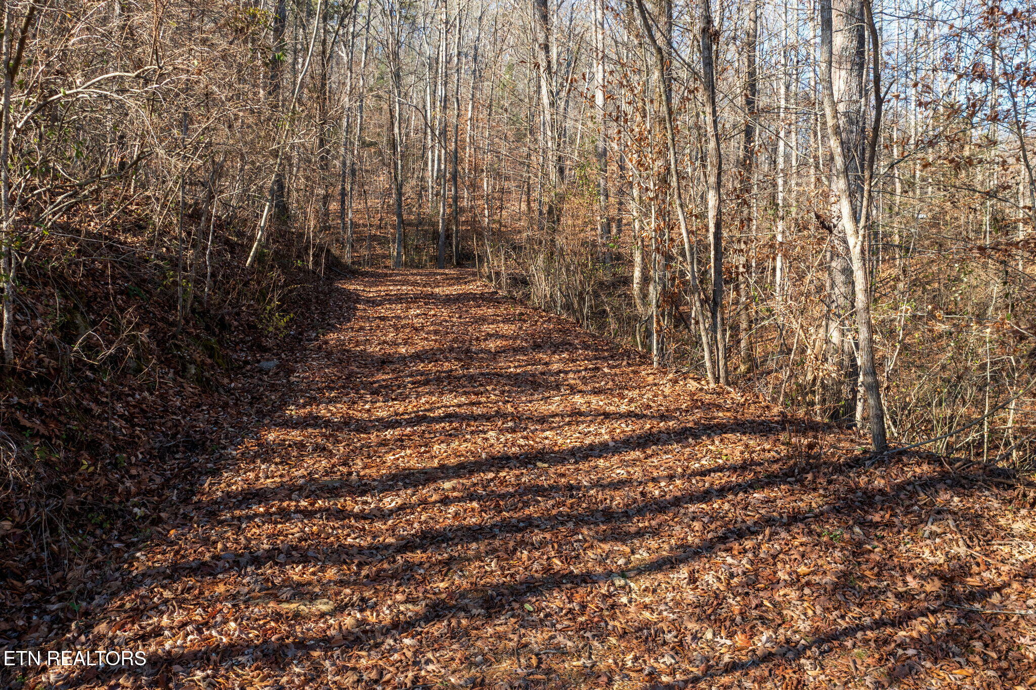 636 Butler Mill Road Maryville, TN 37803 - Photo 1 of 31 Driveway