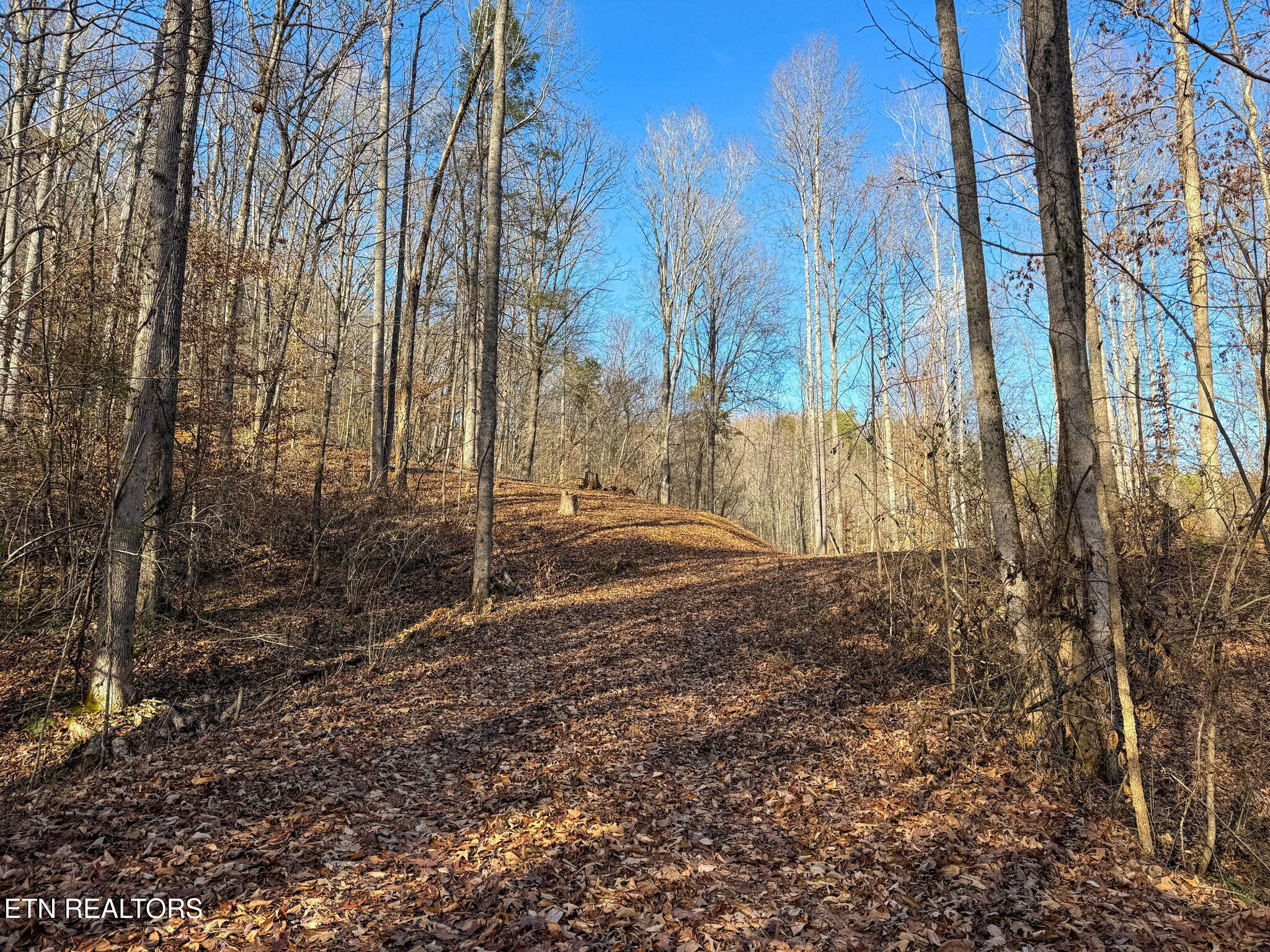 636 Butler Mill Road Maryville, TN 37803 - Photo 11 of 31 Driveway to Homesite