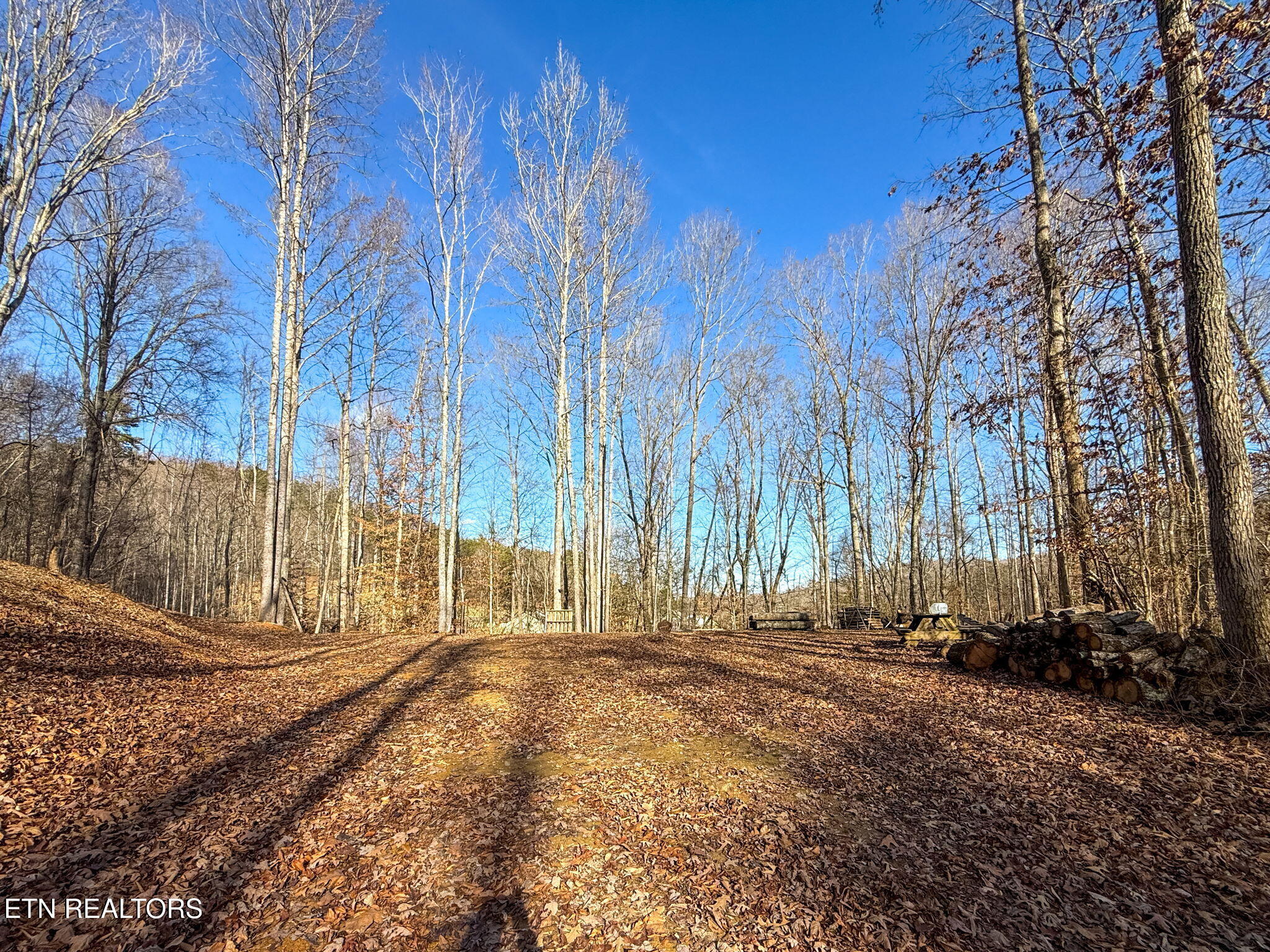 636 Butler Mill Road Maryville, TN 37803 - Photo 12 of 31 Homesite