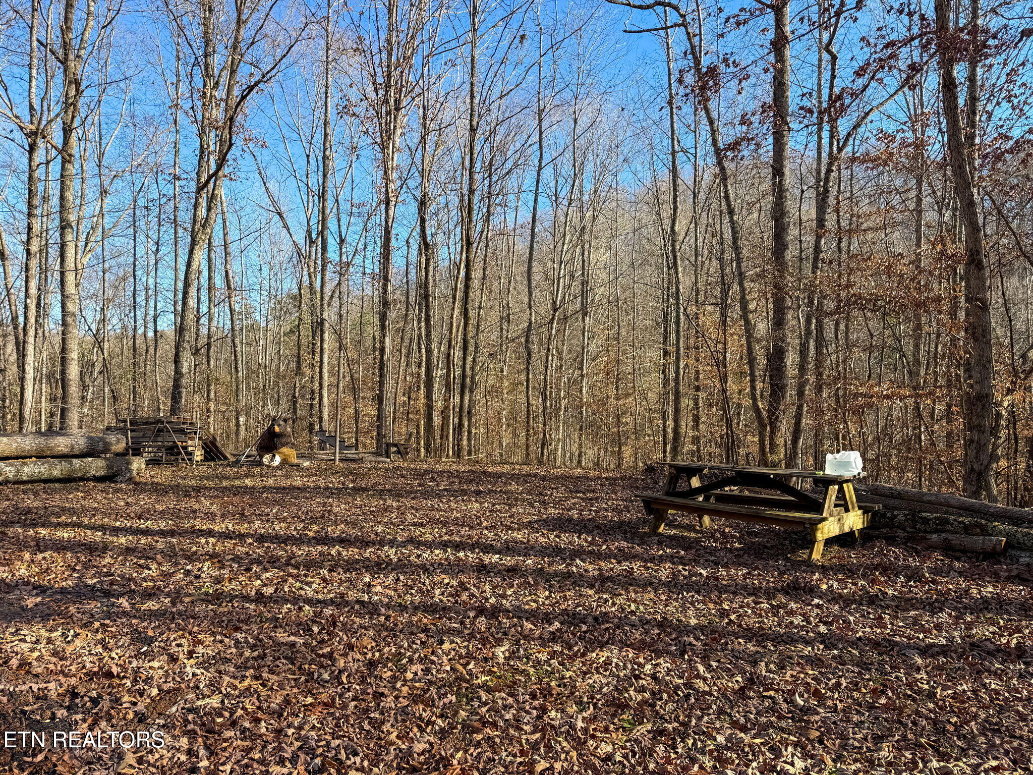 636 Butler Mill Road Maryville, TN 37803 - Photo 13 of 31 Homesite