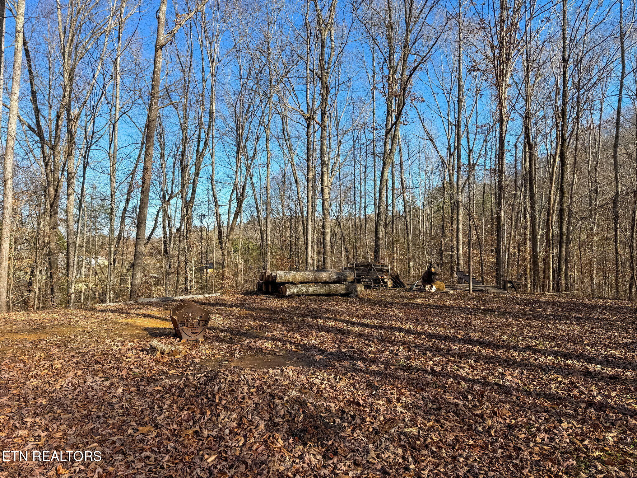 636 Butler Mill Road Maryville, TN 37803 - Photo 14 of 31 Homesite