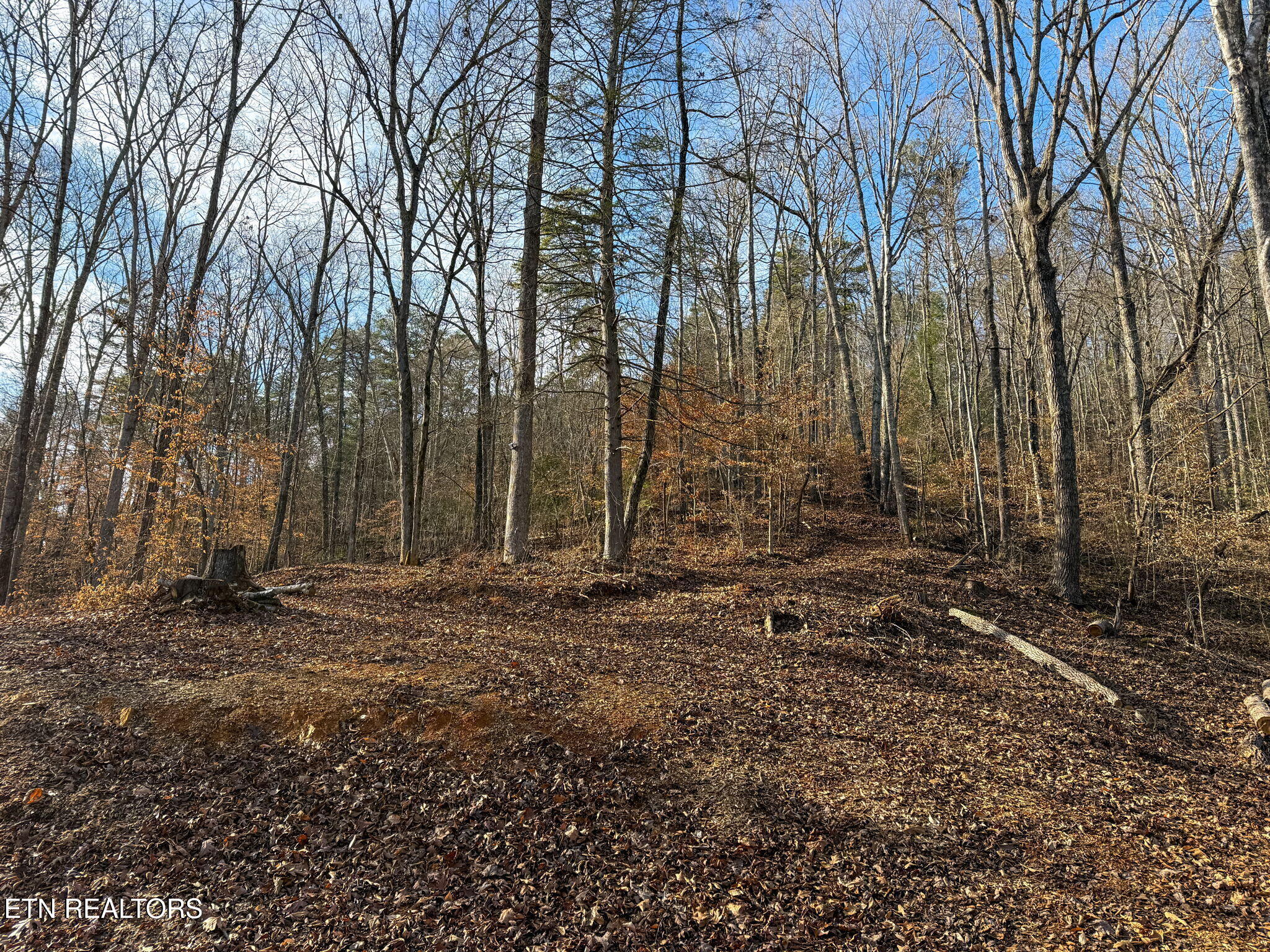 636 Butler Mill Road Maryville, TN 37803 - Photo 15 of 31 Homesite
