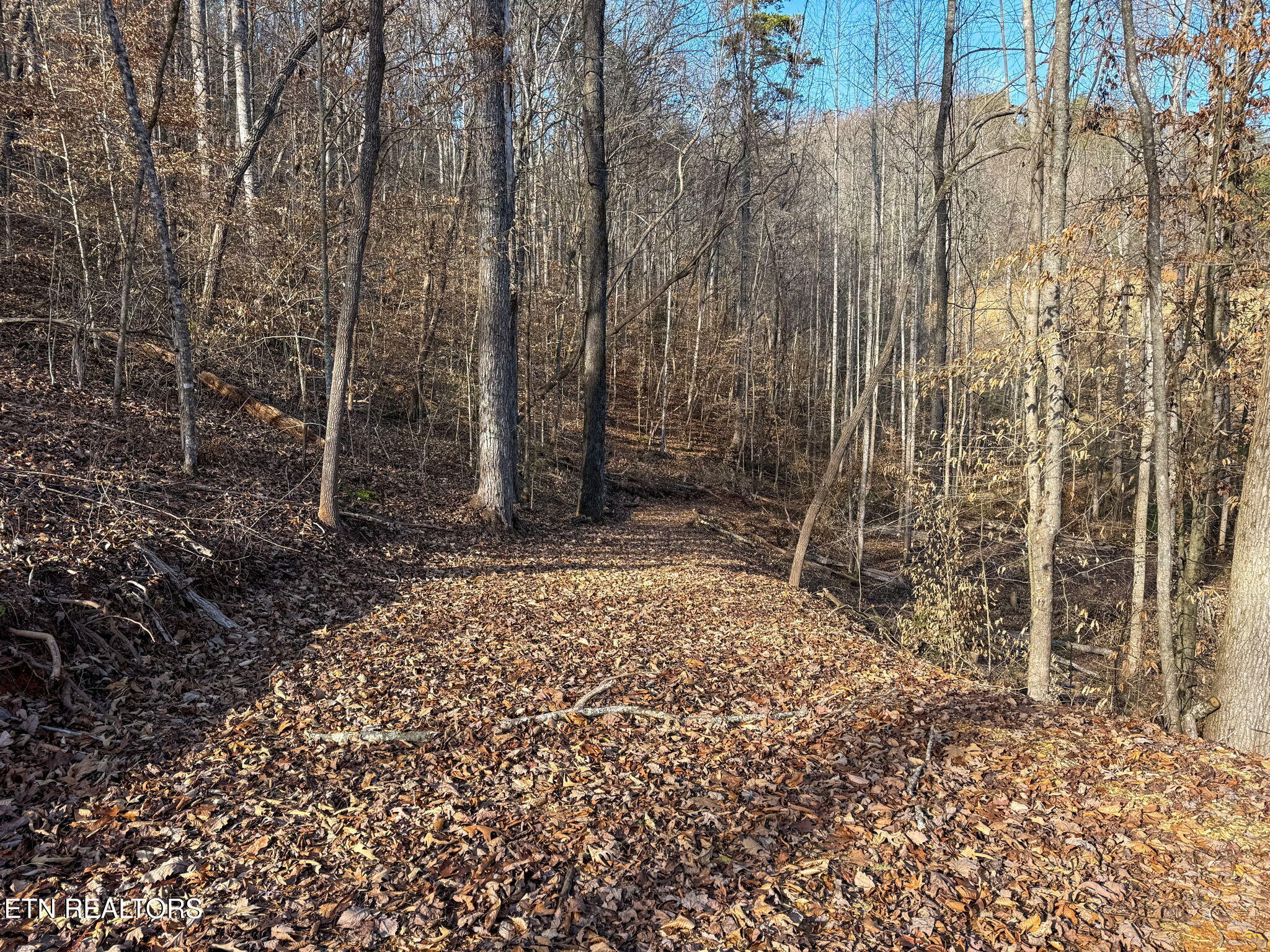 636 Butler Mill Road Maryville, TN 37803 - Photo 16 of 31 Driveway for Second Homesite