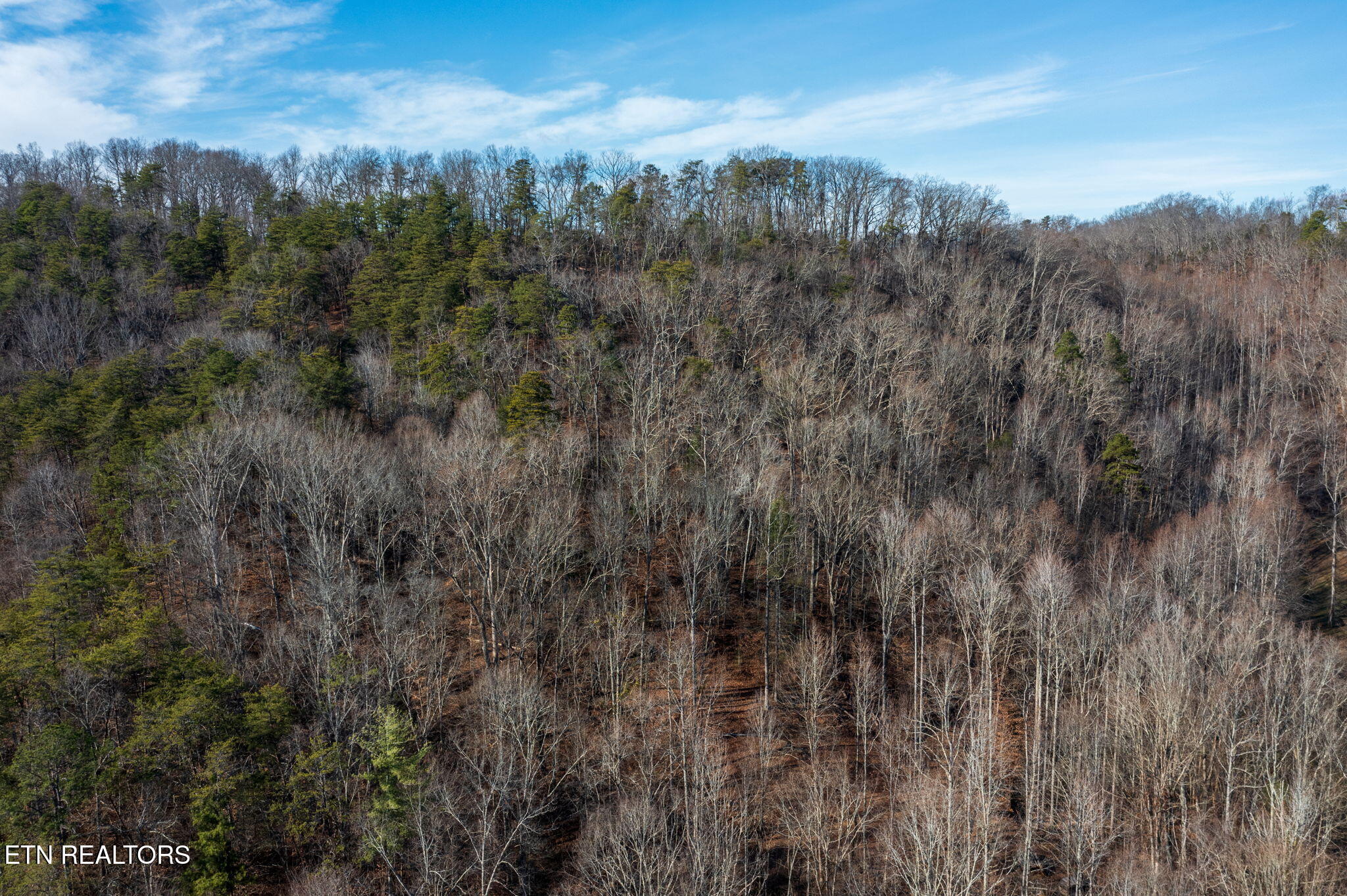 636 Butler Mill Road Maryville, TN 37803 - Photo 27 of 31 homesandvideos aerials-13884
