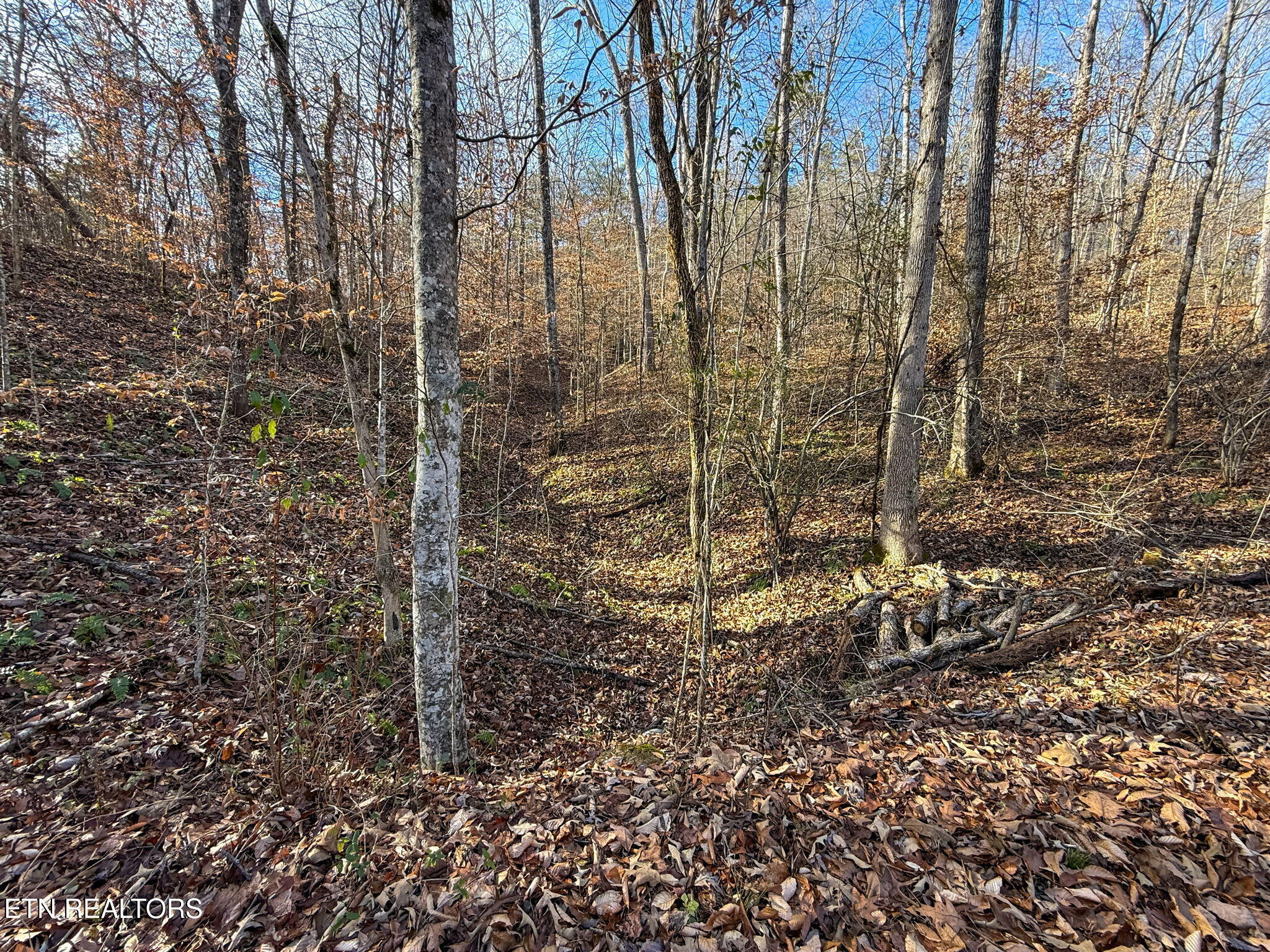 636 Butler Mill Road Maryville, TN 37803 - Photo 28 of 31 Wet-weather Creek