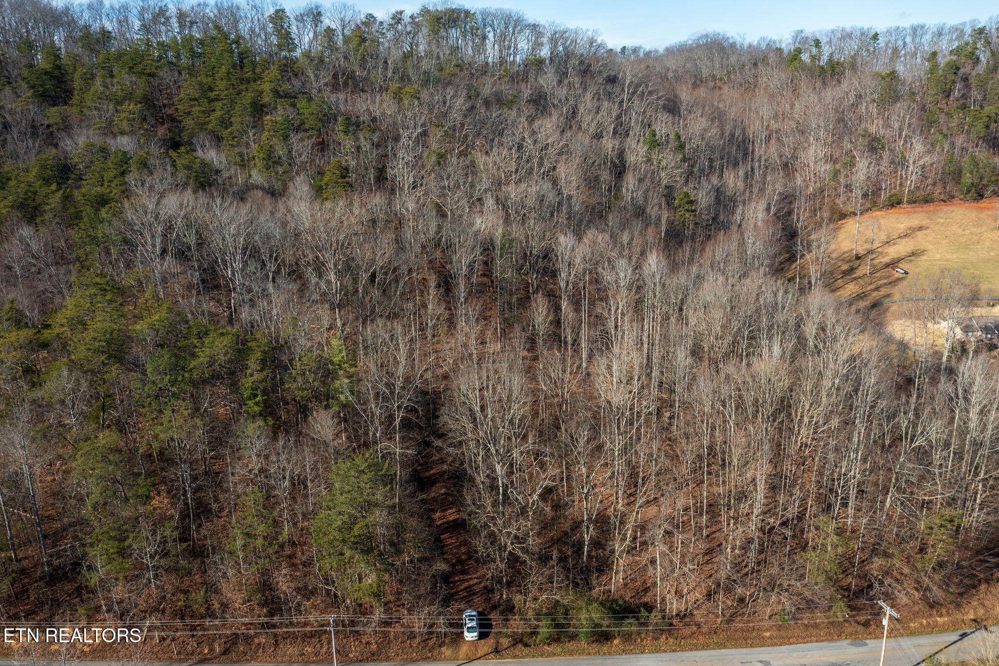 636 Butler Mill Road Maryville, TN 37803 - Photo 4 of 31 Looking NW from road