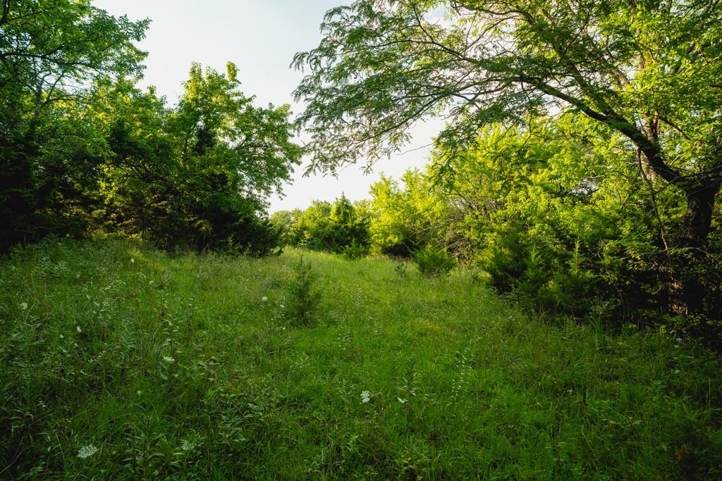 550 California Road Williamsburg, KS 66095 - Photo 18 of 75 Gallery Image 18