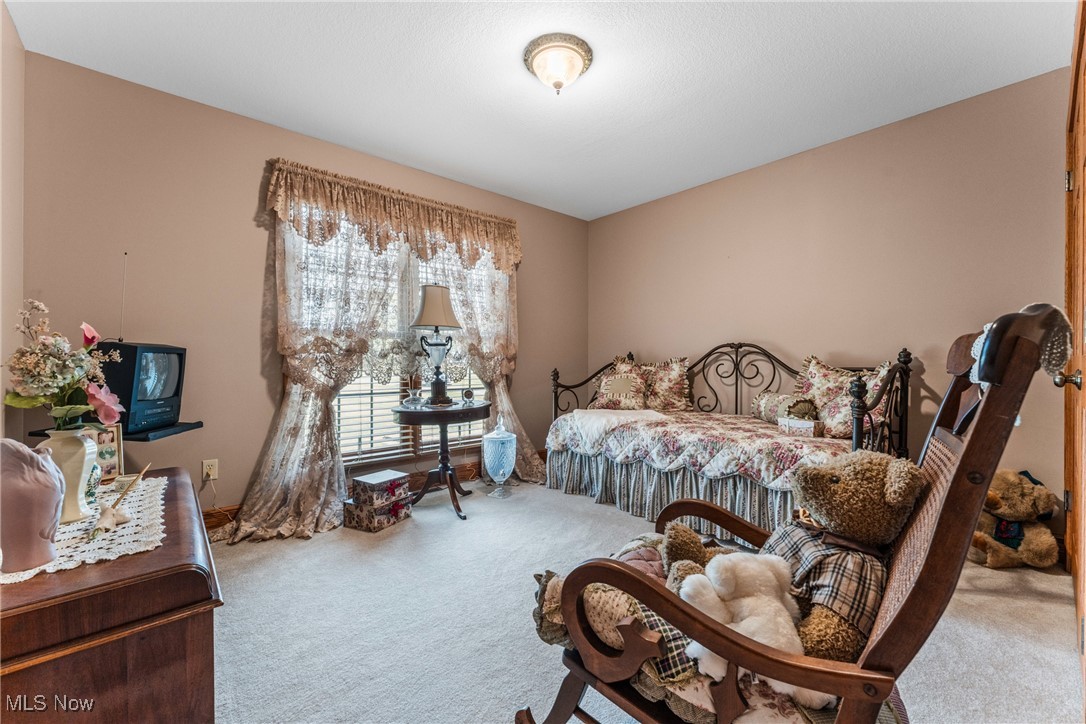 10298 Rapp Road New Middletown, OH 44442 - Photo 20 of 45 Gallery Image 20