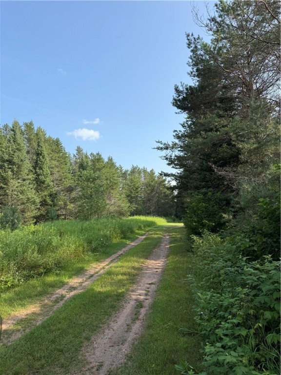0 Tagalder Trail Hayward, WI 54843 - Photo 3 of 23