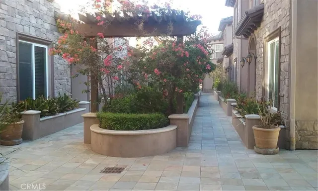 a view of a garden filled with plants