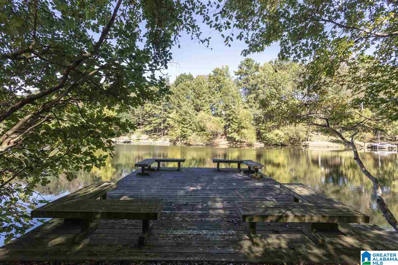 269 Rena Drive Springville, AL 35146 - Photo 45 of 50