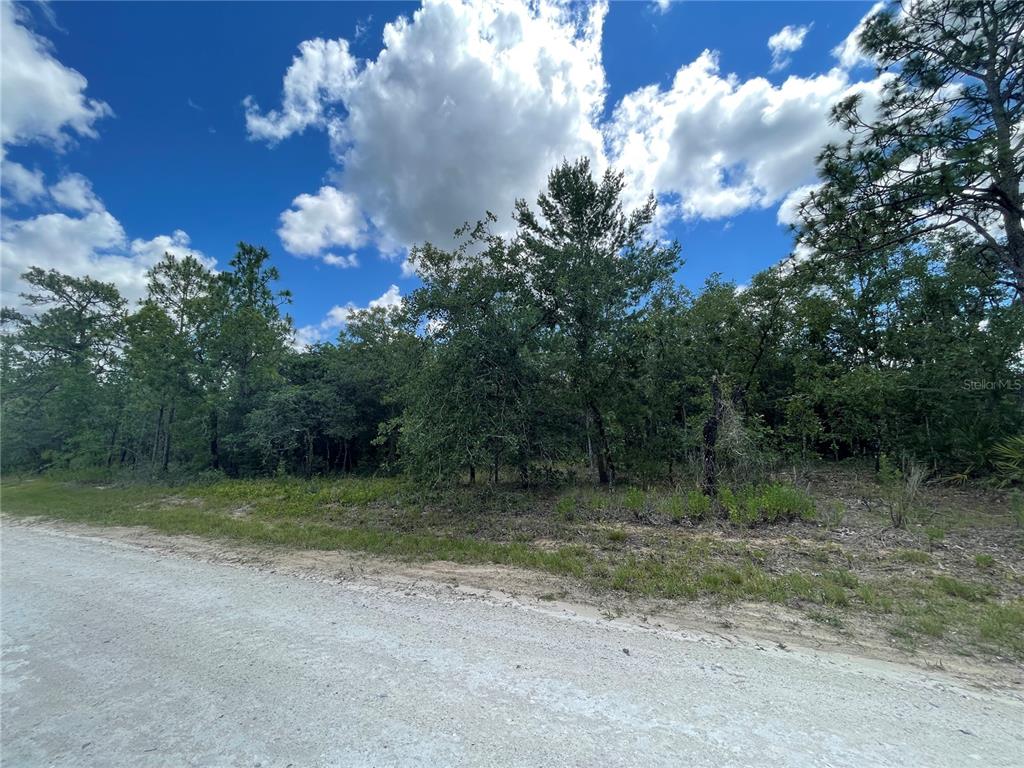 29 Eastern Phoebe Road Weeki Wachee, FL 34614 - Photo 1 of 1